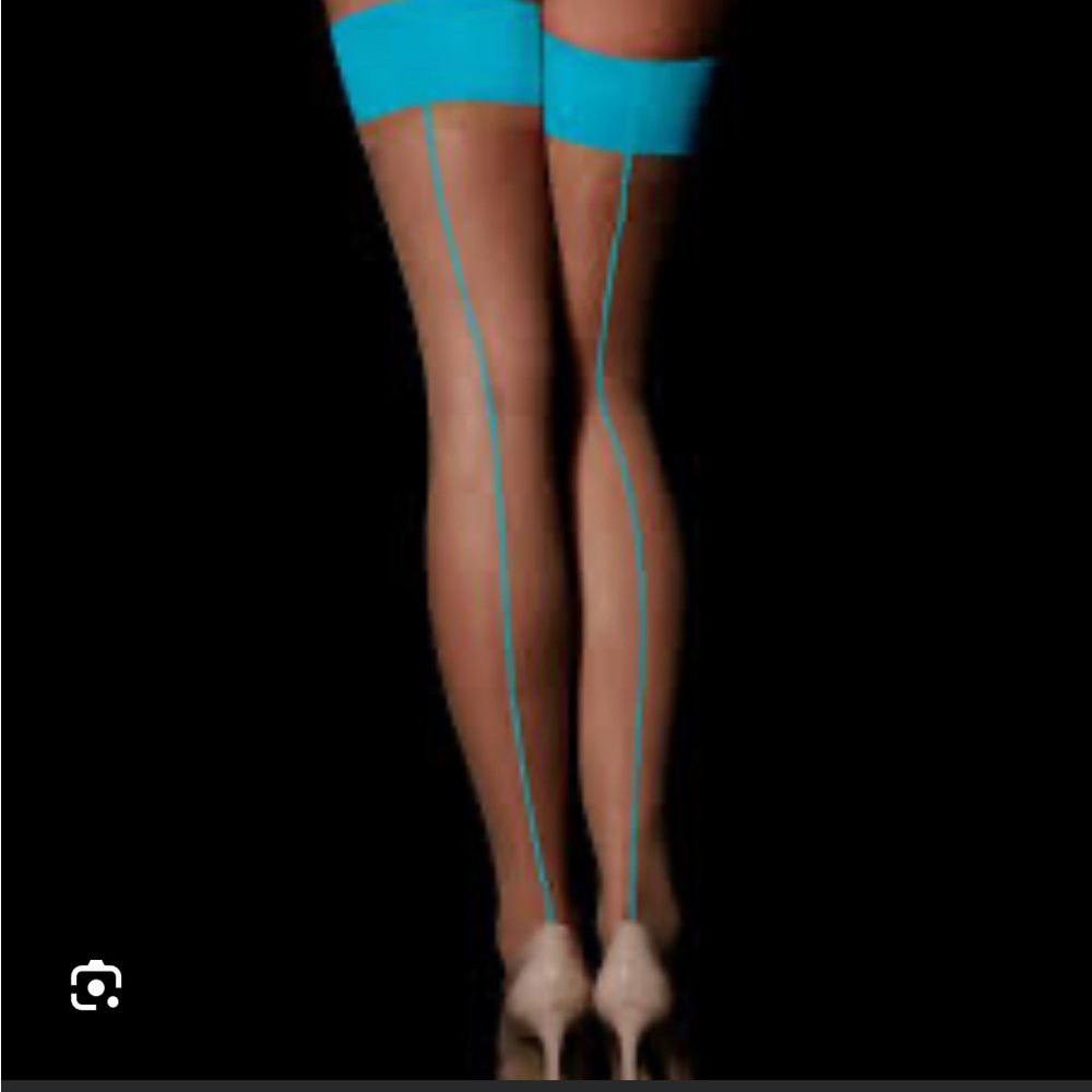 Honey Birdette rare Teal blue stockings sz M